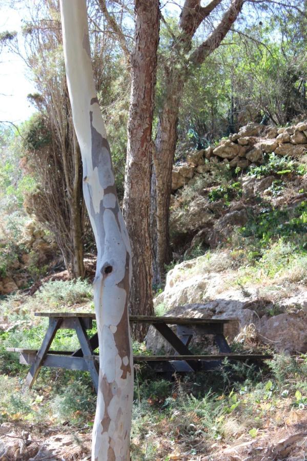 فيلا La Pineta فافينانا المظهر الخارجي الصورة