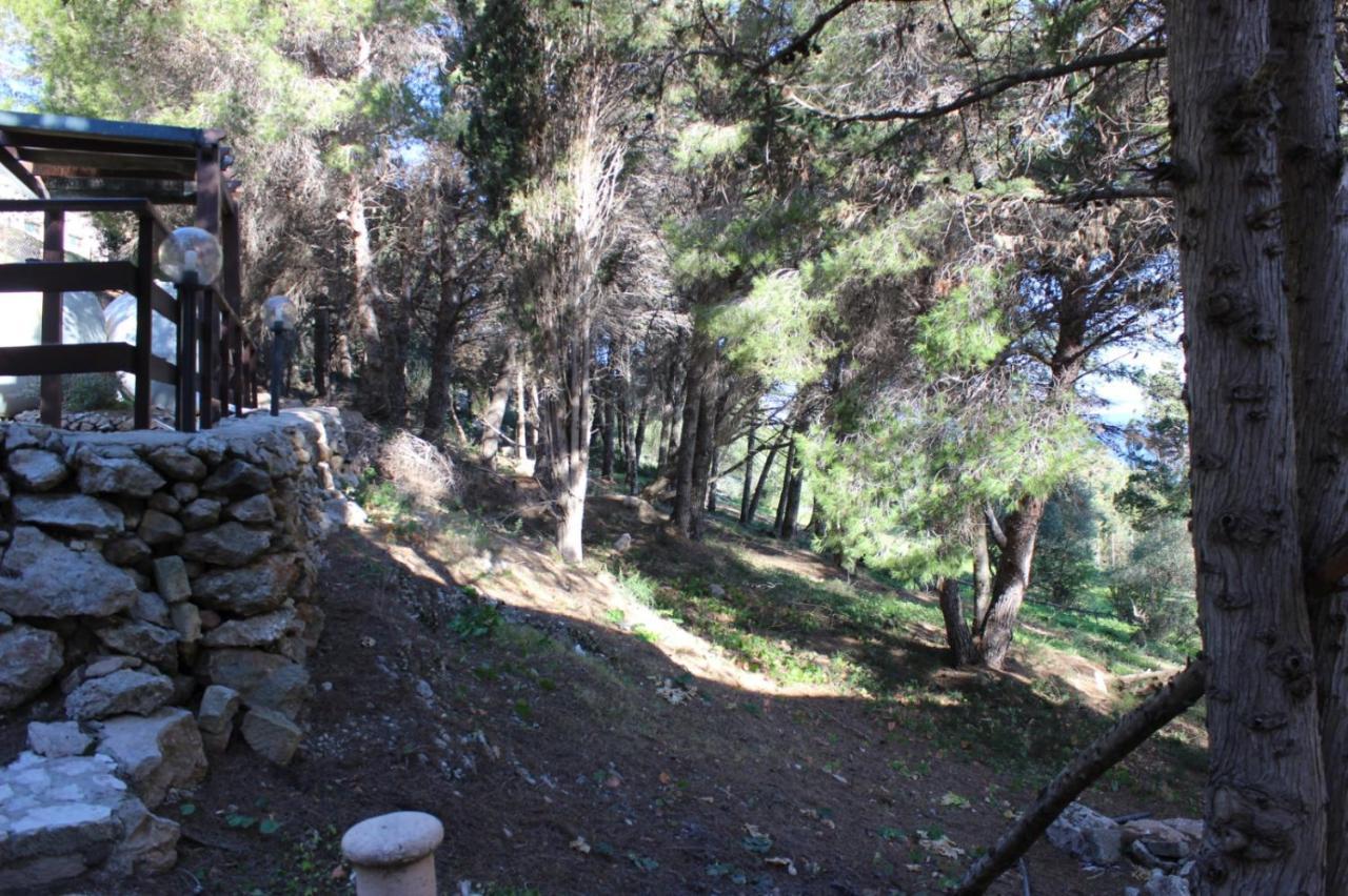 فيلا La Pineta فافينانا المظهر الخارجي الصورة