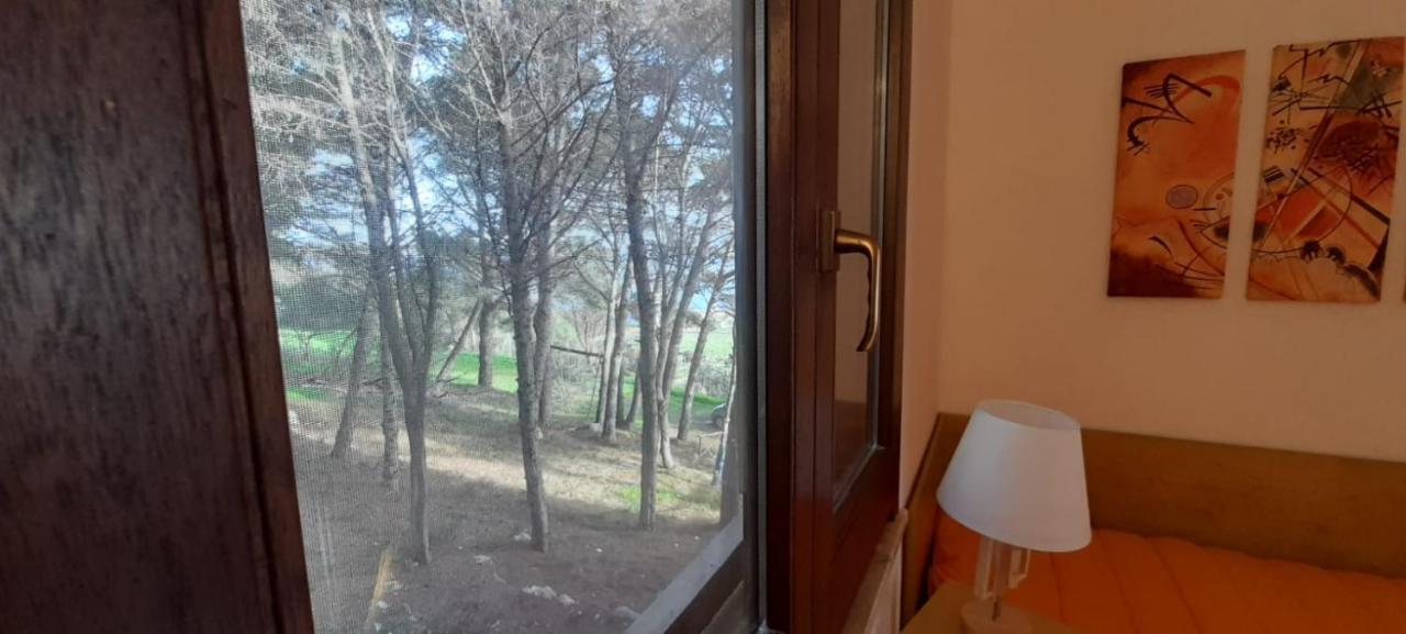 فيلا La Pineta فافينانا المظهر الخارجي الصورة