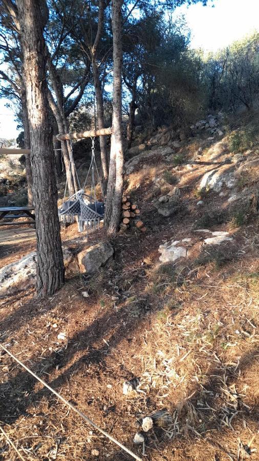 فيلا La Pineta فافينانا المظهر الخارجي الصورة