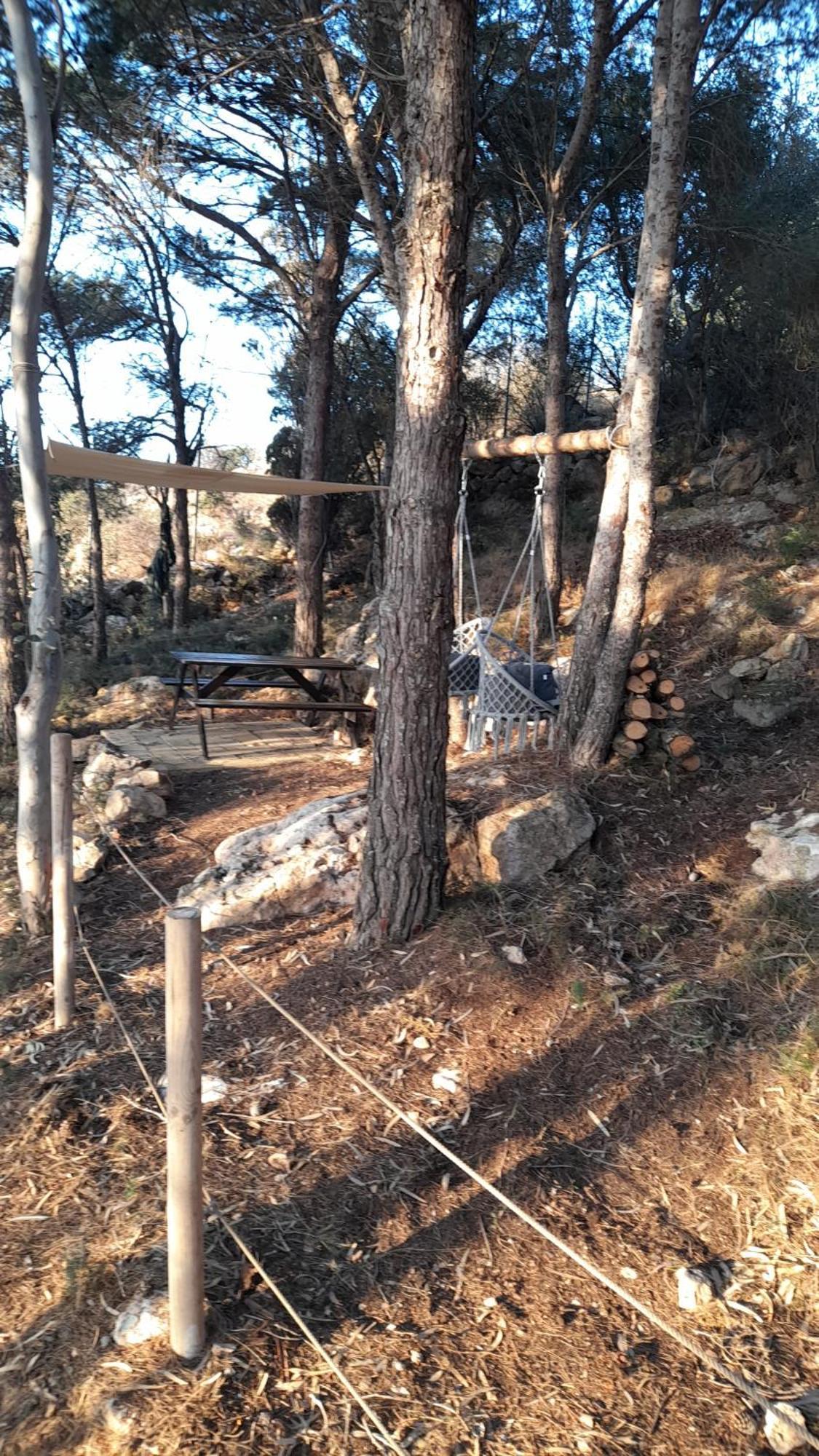 فيلا La Pineta فافينانا المظهر الخارجي الصورة